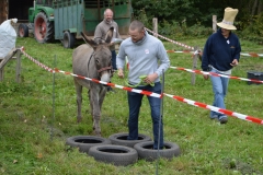20151004-135042-DSC_0389