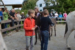 20151004-160734-DSC_0456