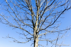 20170402-102731-IMG_2279