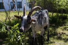 20180506-130818-IMG_9717