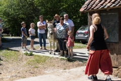 20180506-132231-IMG_9734