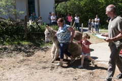 20180506-132303-IMG_9736